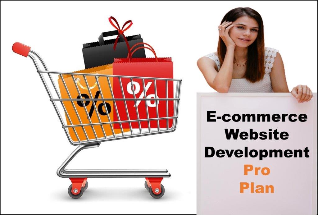 professional ecommerce website development agency in Providence Rhode Island